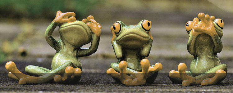 Druck & Design Printline – Druckerei & Werbeagentur