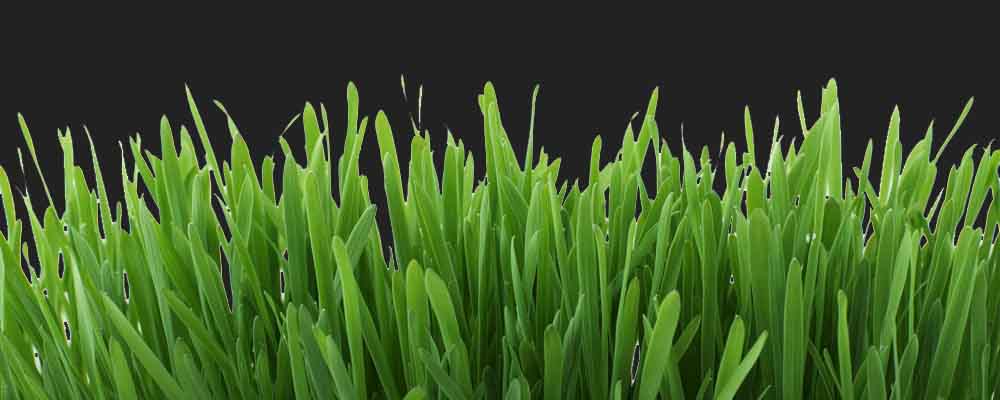 Druck & Design Printline – Druckerei & Werbeagentur